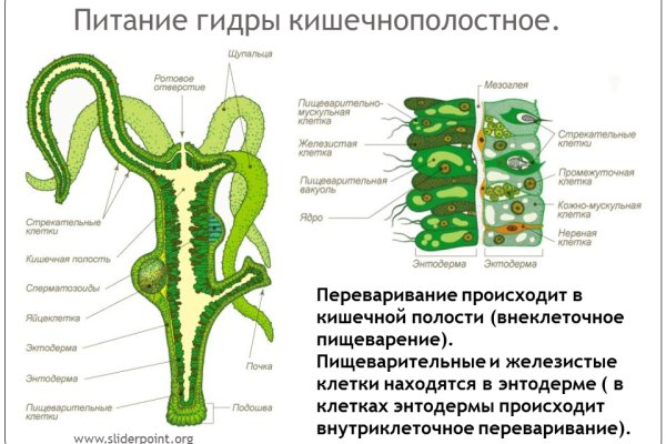 Kraken маркетплейс kr2web in