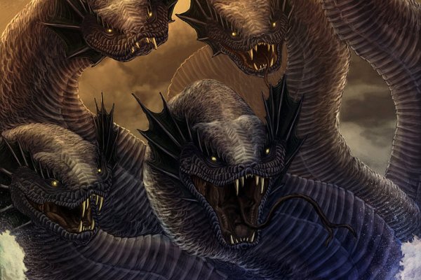 Kraken 12 at