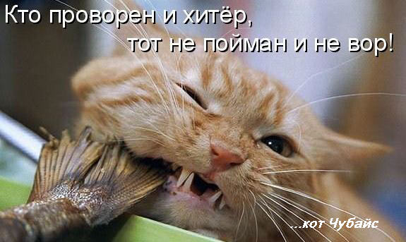 Гидра в даркнете