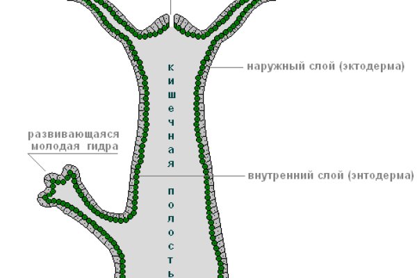 Кракен даркнет зеркало пв